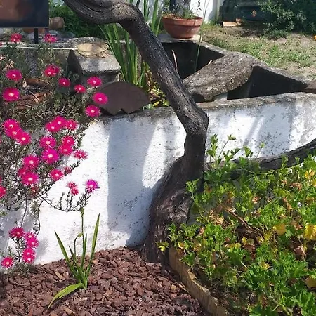 Pateo Memoria, Casa Do Beco *