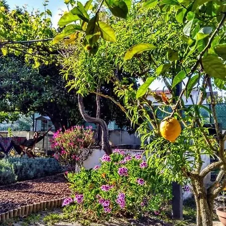 Pateo Memoria, Casa Do Beco Tatil Evi Setúbal