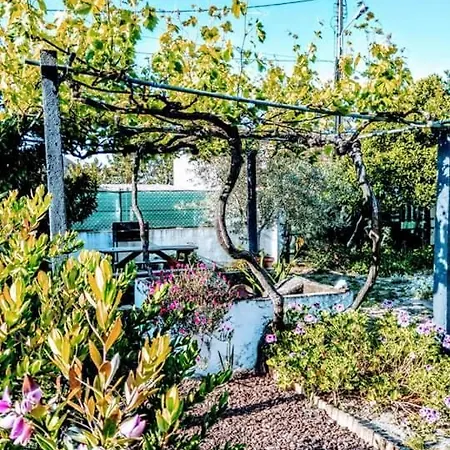 Hébergement de vacances Pateo Memoria, Casa Do Beco *