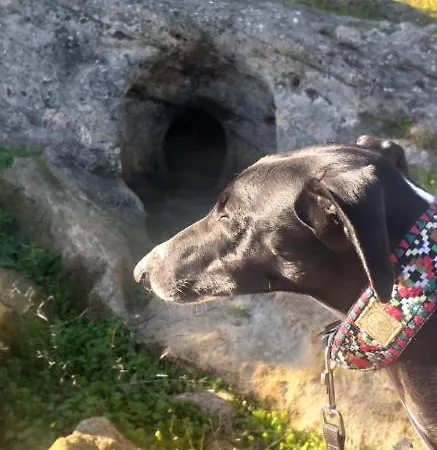 Pateo Memoria, Casa Do Beco *